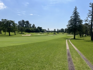 タイトルが入ります。