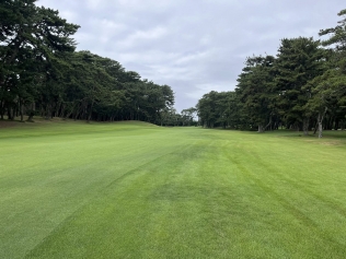 タイトルが入ります。