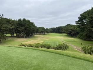 タイトルが入ります。