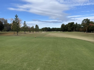 タイトルが入ります。