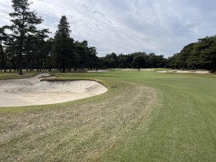 タイトルが入ります。