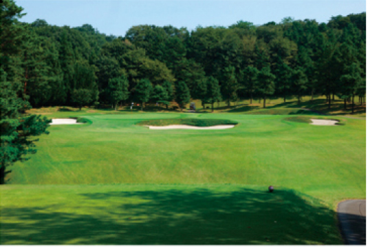 青梅ゴルフ倶楽部（正会員）