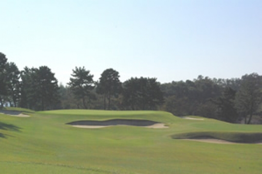 東京よみうりカントリークラブ（正会員）