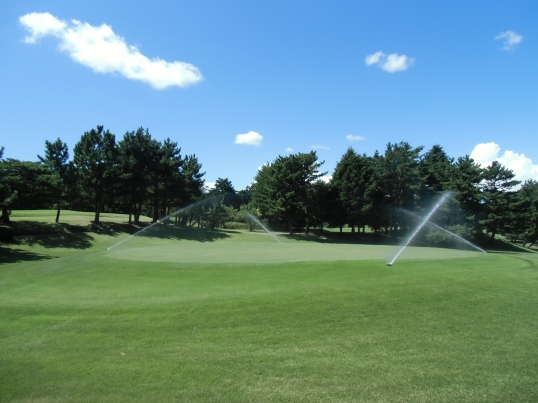 よみうりゴルフ倶楽部のゴルフ会員権相場・売買情報－東都ゴルフ