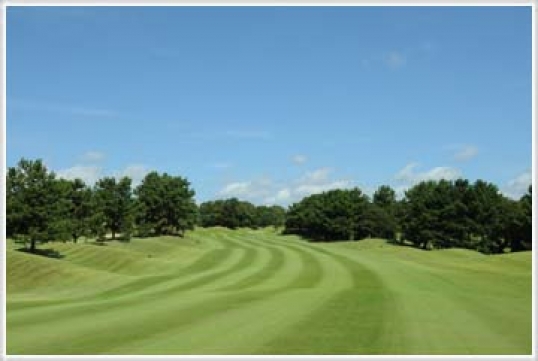 磯子カンツリークラブ（正会員）