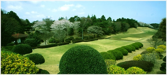 ダイヤグリーン倶楽部（正会員）