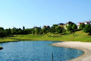 タイトルが入ります。