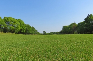 ゴルフ会員権の相続税評価|計算方法や手続き方法について