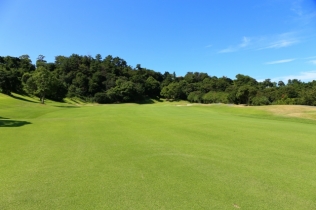 ゴルフ会員権の平日会員とは?正会員・週日会員との違いとメリット・デメリット