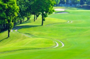 ゴルフ会員権は遺産分割できる?遺産分割協議書の書き方も解説