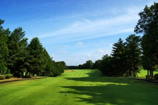 タイトルが入ります。