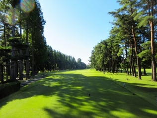 タイトルが入ります。