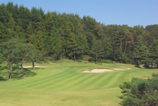 タイトルが入ります。