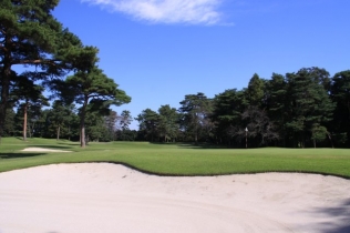 タイトルが入ります。