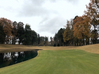 タイトルが入ります。