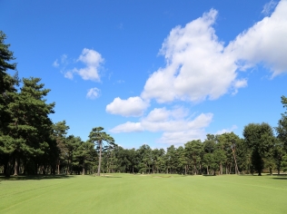 タイトルが入ります。