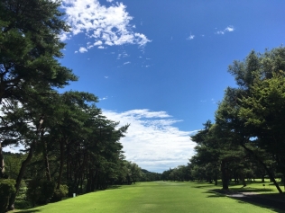 タイトルが入ります。