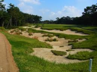 タイトルが入ります。