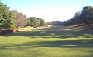 タイトルが入ります。