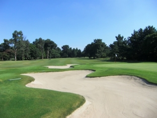 タイトルが入ります。