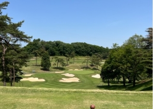 タイトルが入ります。