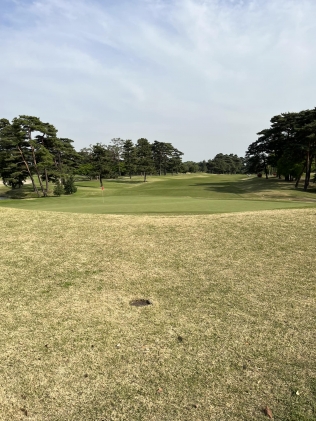 タイトルが入ります。