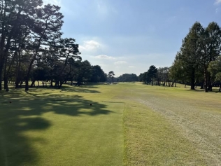 タイトルが入ります。