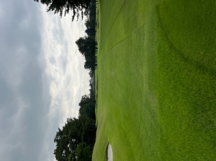 タイトルが入ります。