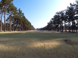 タイトルが入ります。