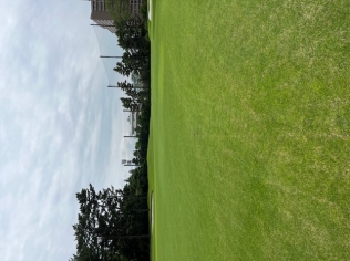 タイトルが入ります。