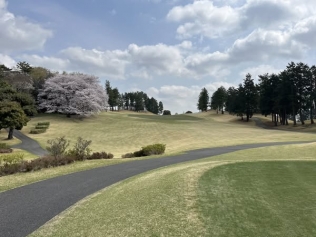 タイトルが入ります。