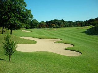 タイトルが入ります。