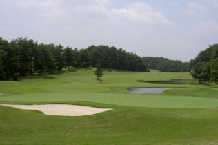 タイトルが入ります。