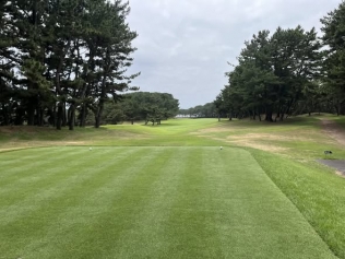 タイトルが入ります。