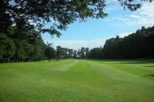 タイトルが入ります。