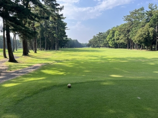 タイトルが入ります。