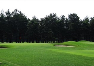 タイトルが入ります。