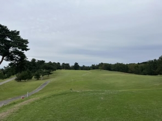 タイトルが入ります。