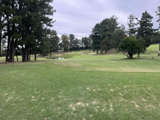 タイトルが入ります。