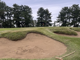 タイトルが入ります。