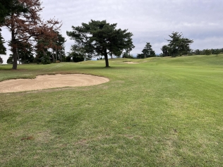 タイトルが入ります。