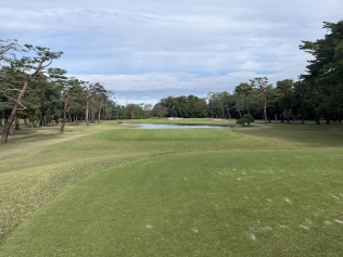 タイトルが入ります。