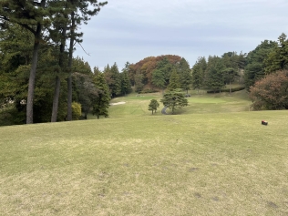 タイトルが入ります。