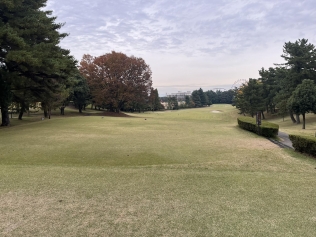 タイトルが入ります。