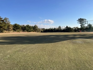 タイトルが入ります。