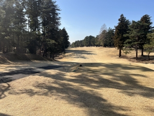 タイトルが入ります。