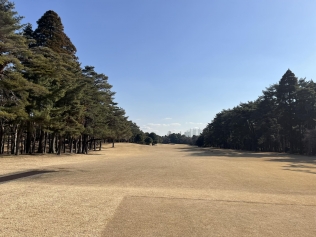 タイトルが入ります。