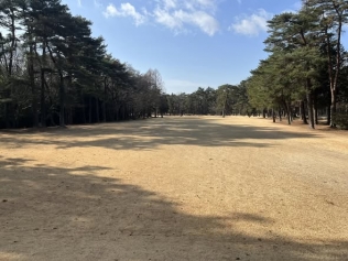 タイトルが入ります。