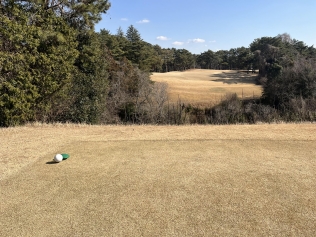 タイトルが入ります。