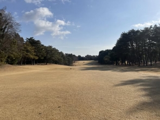 タイトルが入ります。